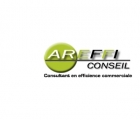 Consultant en efficience commerciale 